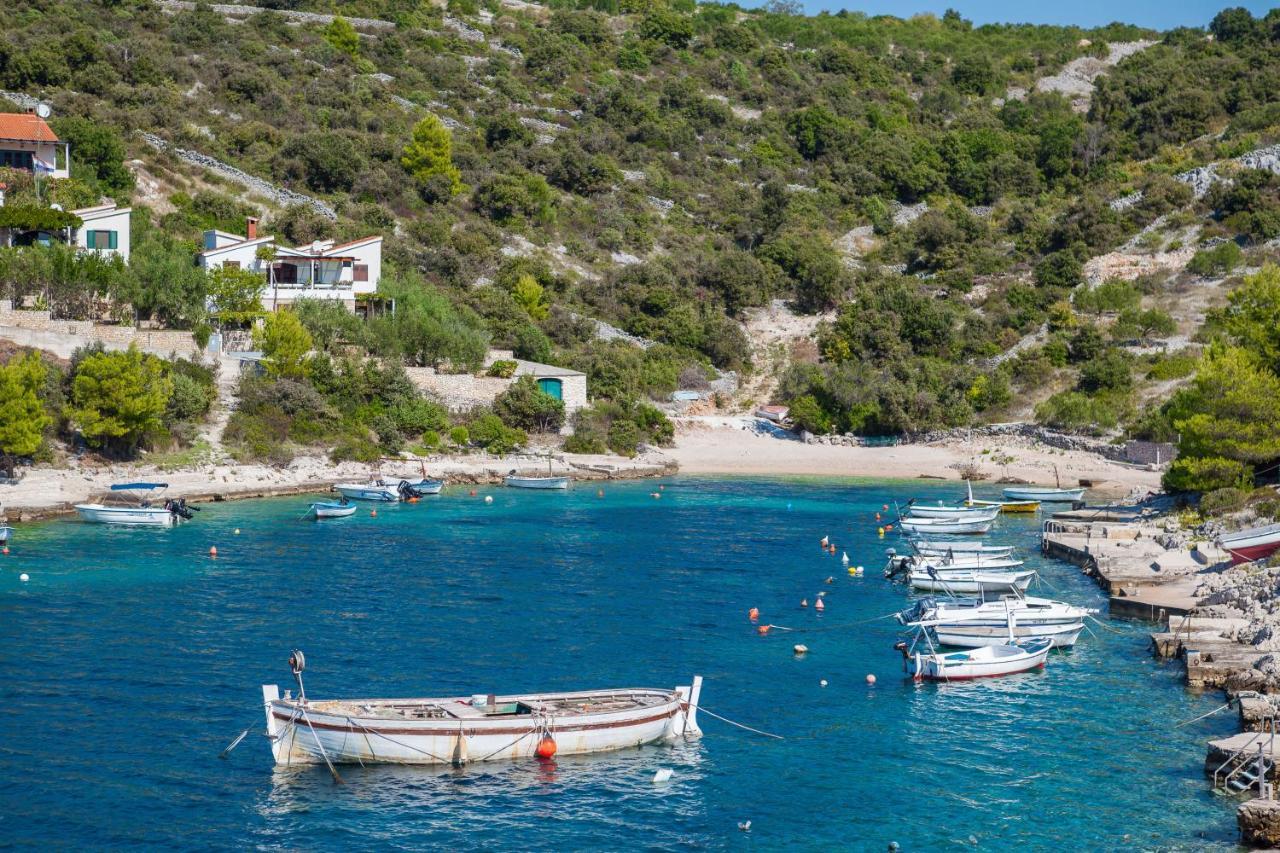 Bose Kanica On The Sea Sevid