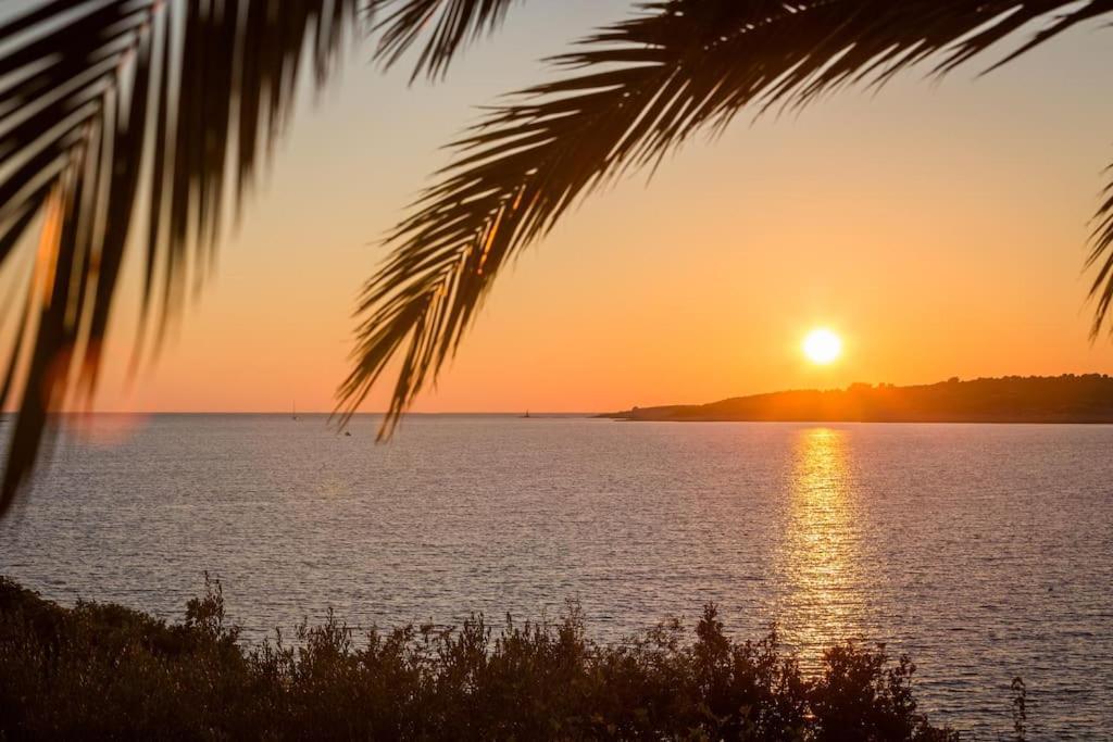 Apartment Bose Kanica On The Sea Sevid